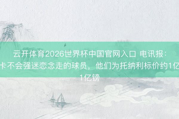 云开体育2026世界杯中国官网入口 电讯报：纽卡不会强迷恋念走的球员，他们为托纳利标价约1亿镑