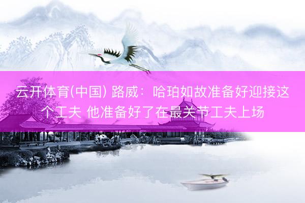 云开体育(中国) 路威：哈珀如故准备好迎接这个工夫 他准备好了在最关节工夫上场