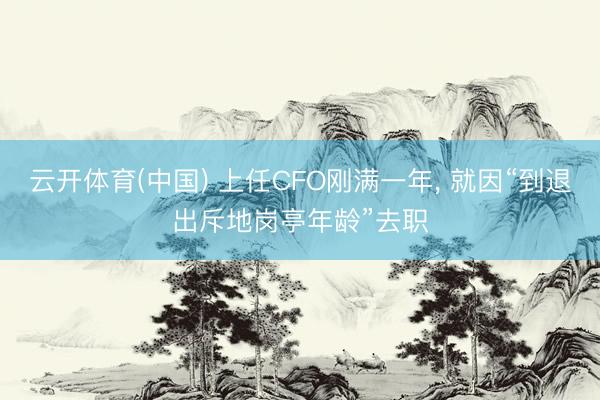 云开体育(中国) 上任CFO刚满一年, 就因“到退出斥地岗亭年龄”去职