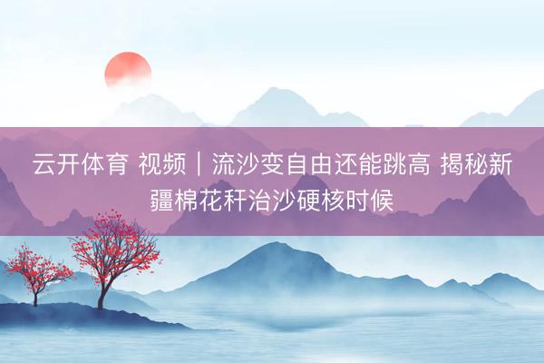 云开体育 视频｜流沙变自由还能跳高 揭秘新疆棉花秆治沙硬核时候