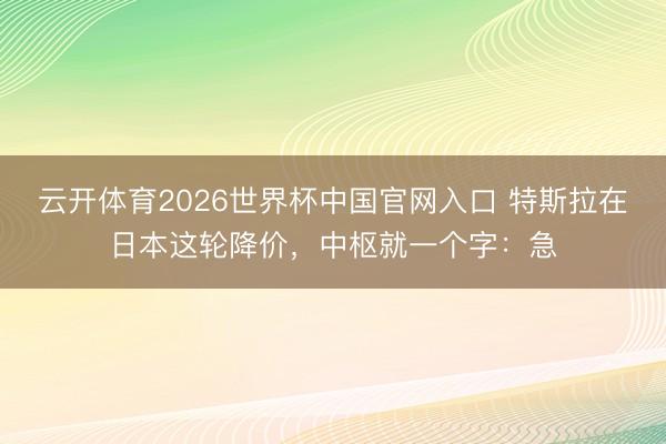 云开体育2026世界杯中国官网入口 特斯拉在日本这轮降价，中枢就一个字：急