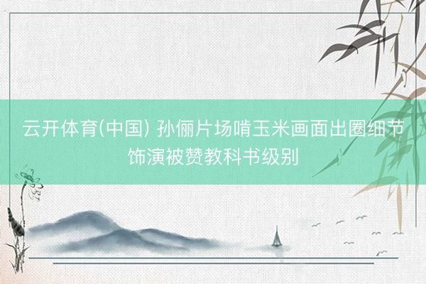 云开体育(中国) 孙俪片场啃玉米画面出圈细节饰演被赞教科书级别